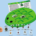 bug sorting tray