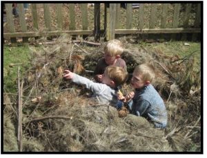 boys in the shrubs