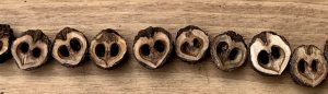 walnut hearts