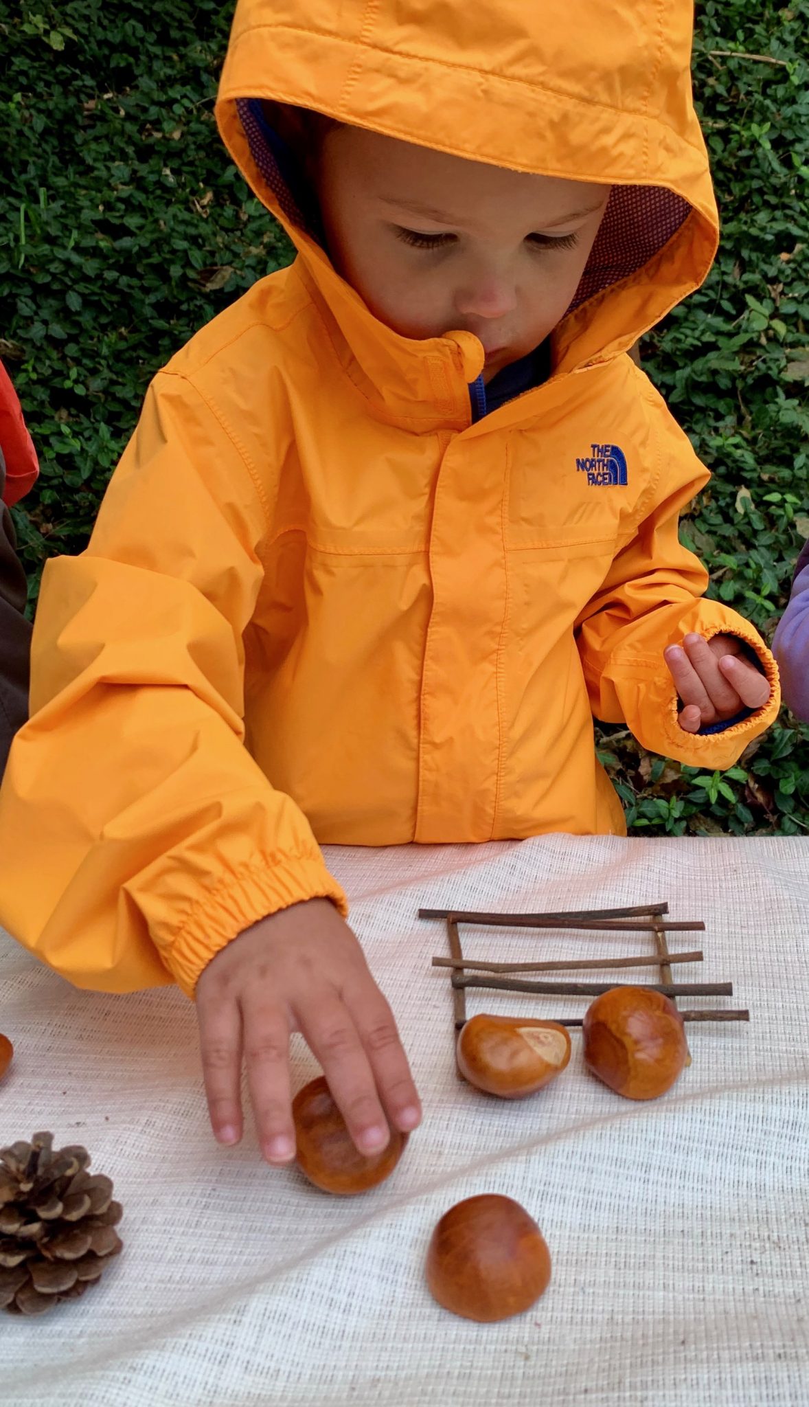 jamespatterns Early Math Counts