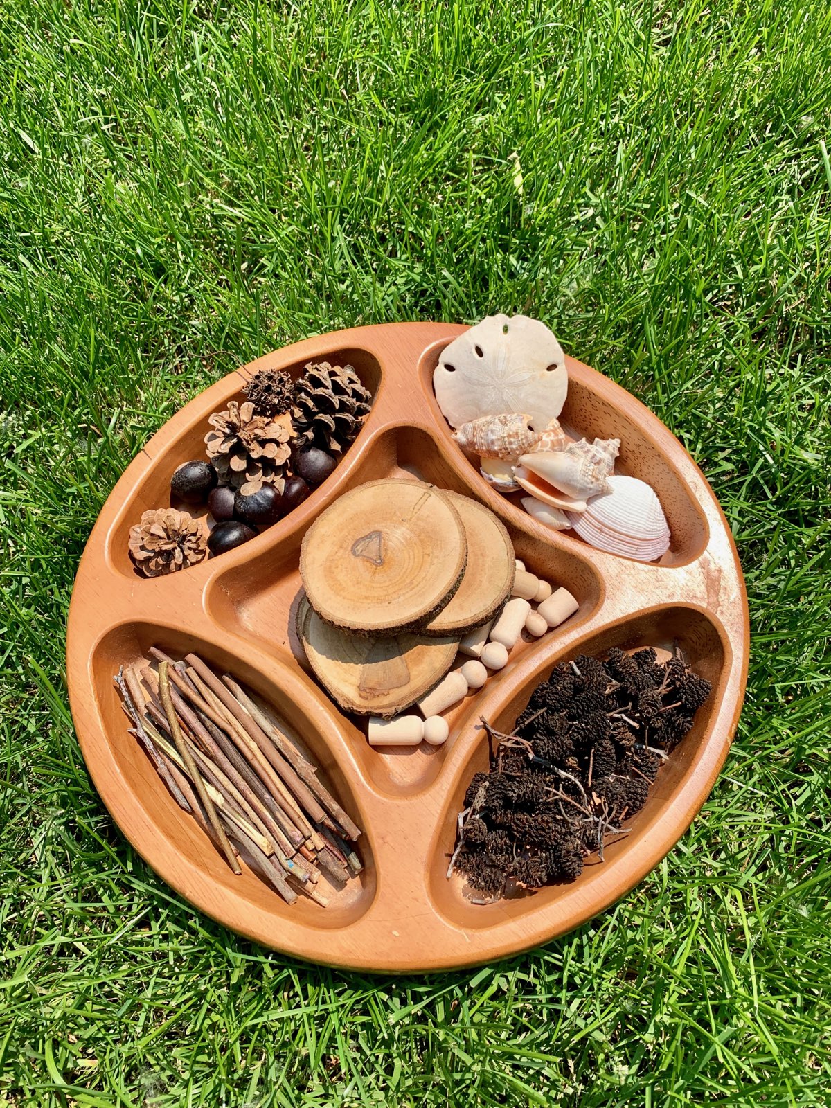 STEM Magic with Clay – Early Math Counts