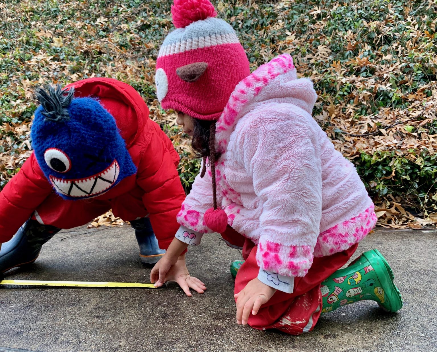 usemeasure Early Math Counts