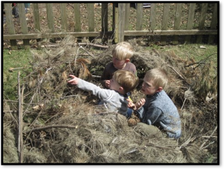 Outdoor Lessons, Nest Building