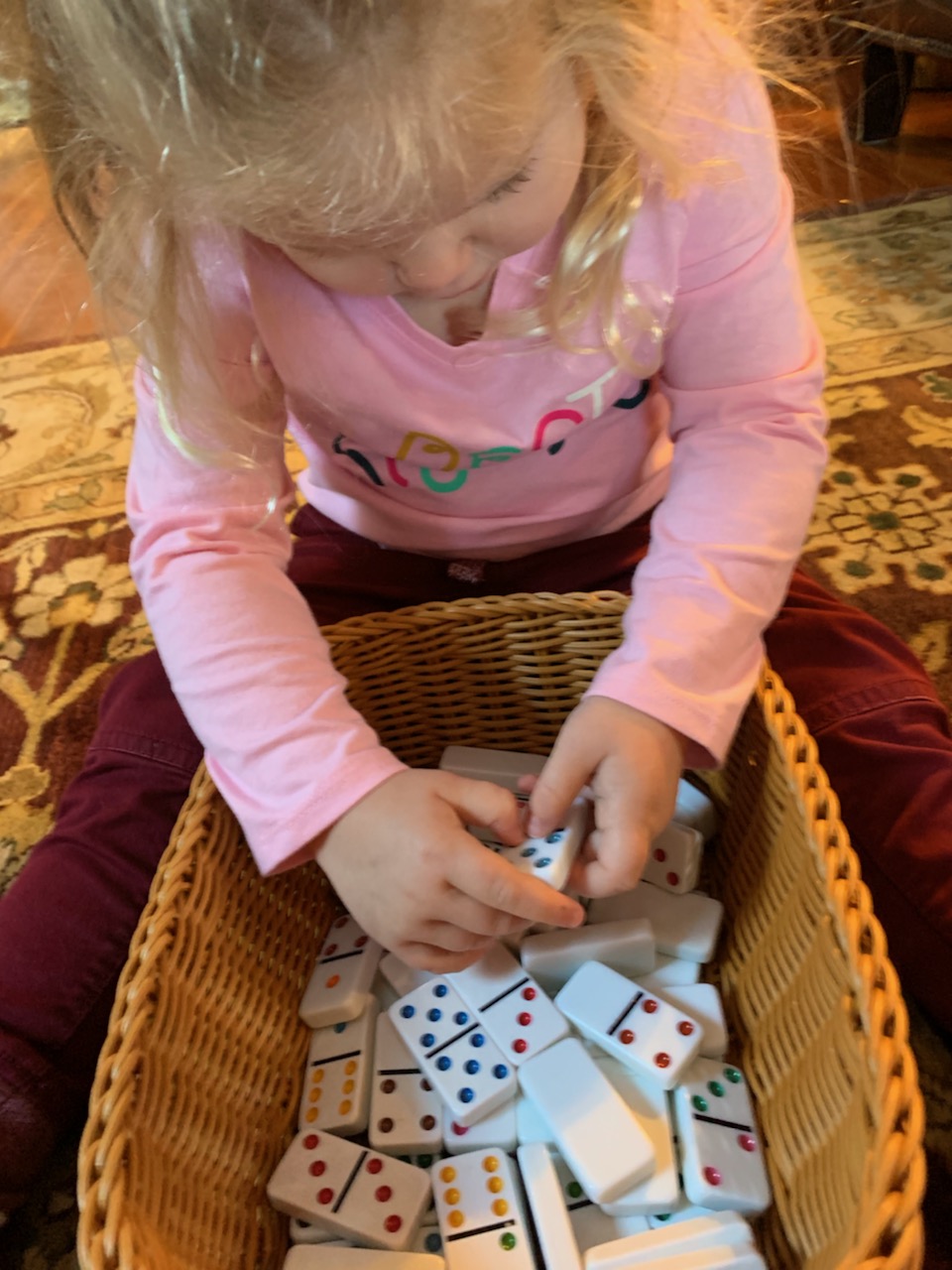 stem-play-with-dominoes-early-math-counts