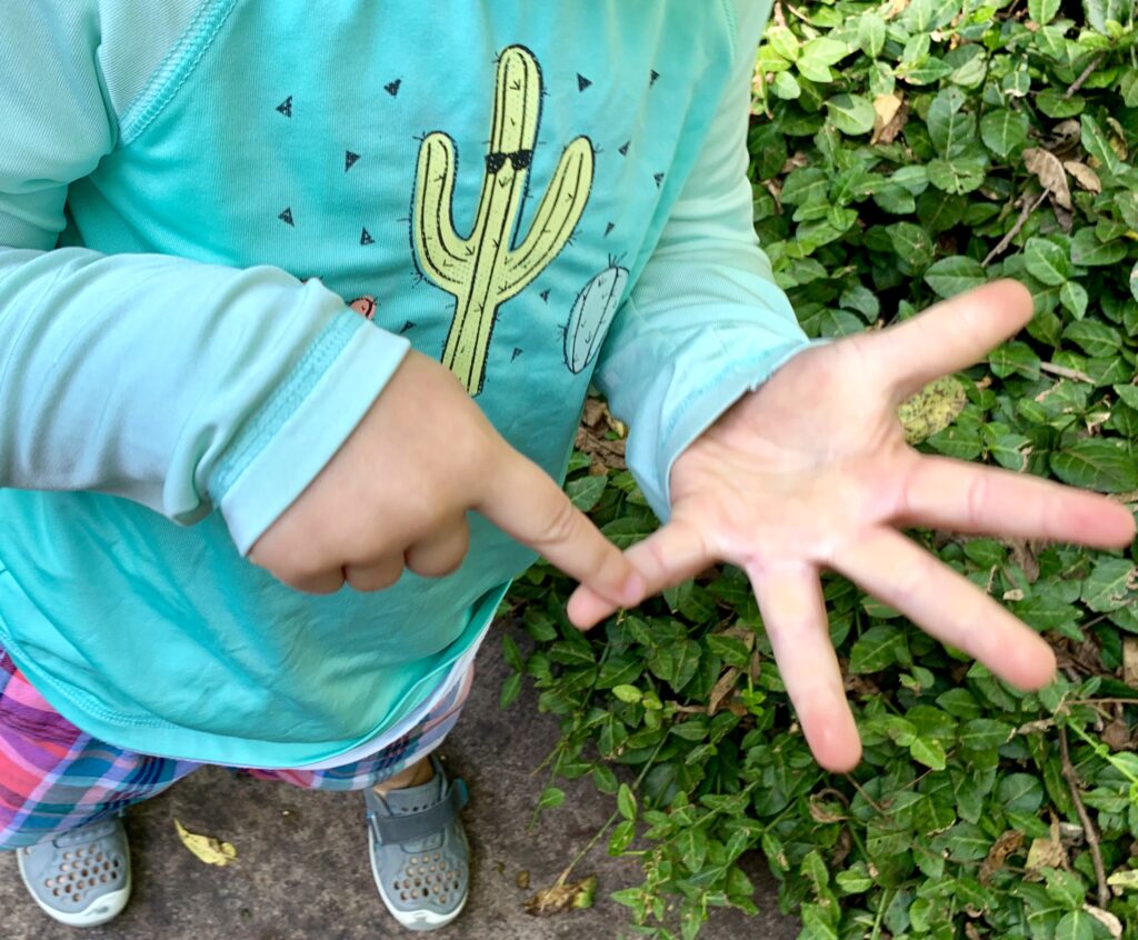 Hands counting. Count on fingers showing number one, two, three